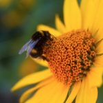 196体育下载:全面解析功能与用户体验的优势 7ew1bx