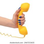 220期开奖记录最新完整版数据汇总 flmnppra